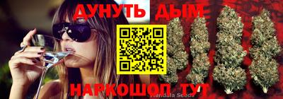 мяу мяу мука Будённовск