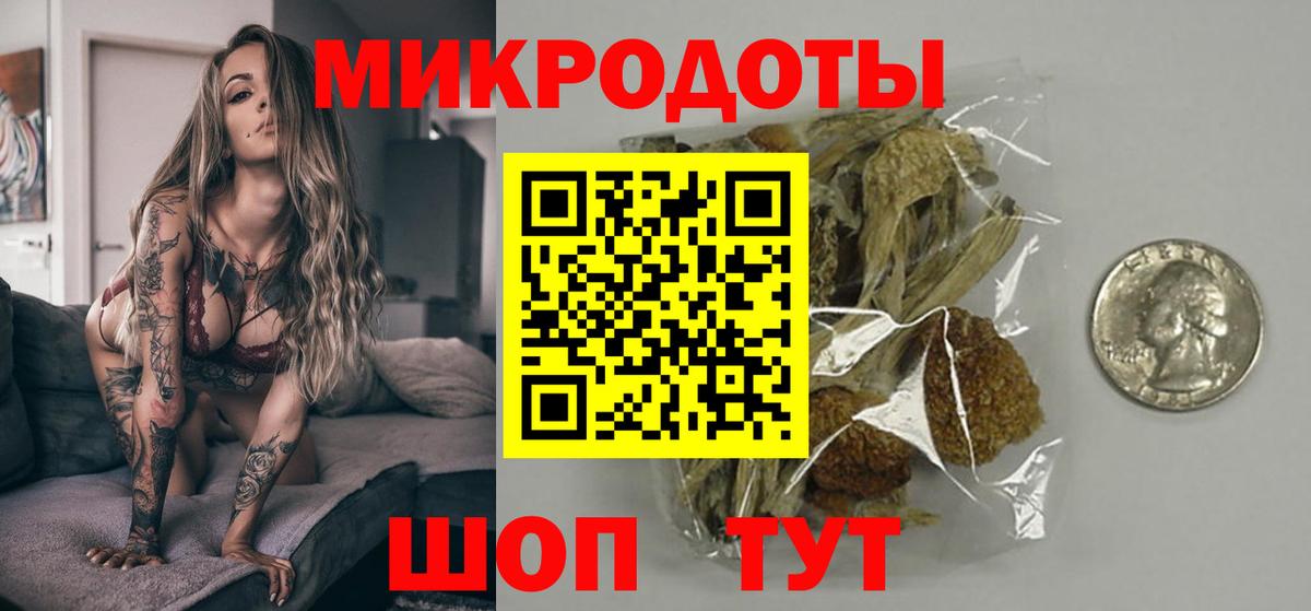 Галлюциногенные грибы Psilocybine cubensis Норильск
